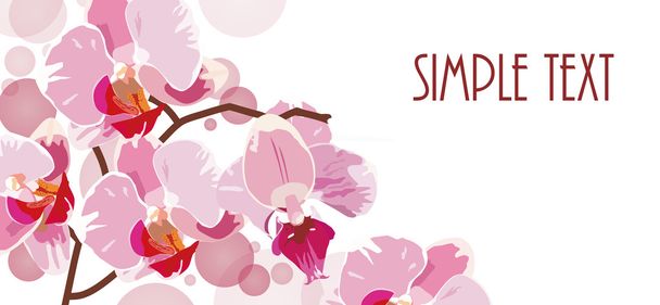 vector horizontal background with red orchids - Vector, Image