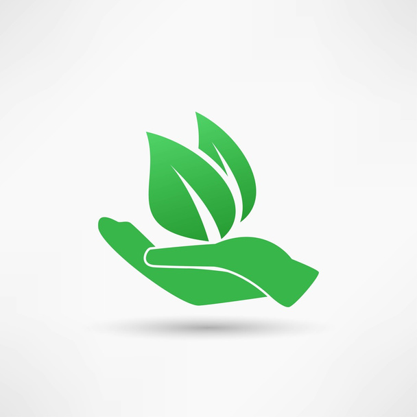 Hands hold plant - Vector, Image