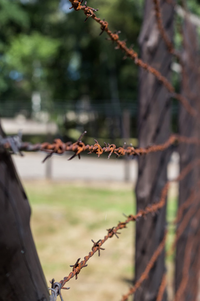 campo de concentración
 - Foto, Imagen