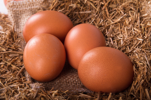 Organic Eggs in Nest - Foto, Bild