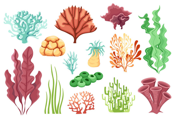 Karikaturen Ozeanpflanzen, Wasserlebewesen, Meereskorallenriffe oder Algen Wasserleben isoliert auf weißem Hintergrund - Vektor, Bild