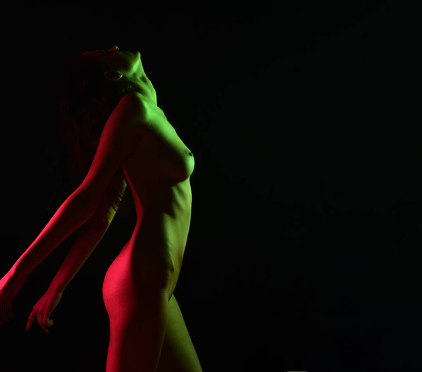 Sexy nude woman body. Nude sexy woman. Perfect naked body of sexy lady. - Valokuva, kuva