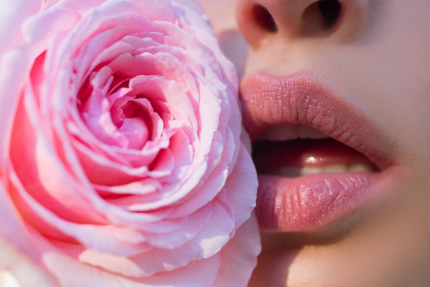 Lips with lipstick closeup. Tenderness pink rose. Lips care. Tenderness womans lips with pink rose. Tenderness woman. Concept of caring and tenderness. Woman mouth with a rose. - Фото, изображение