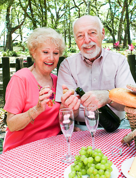 Picnic for Senior Couple - Foto, immagini