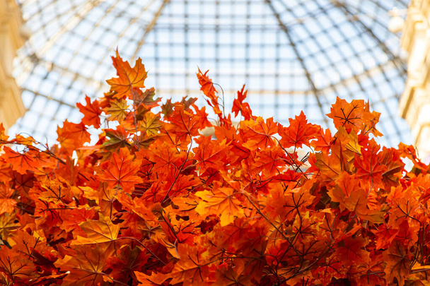 Сезонное оформление дорогого витрины магазина. крупным планом желтые искусственные осенние листья - Фото, изображение