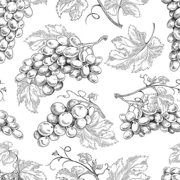 Vector black and white seamless pattern with vines, grape branches and leaf. - Вектор,изображение