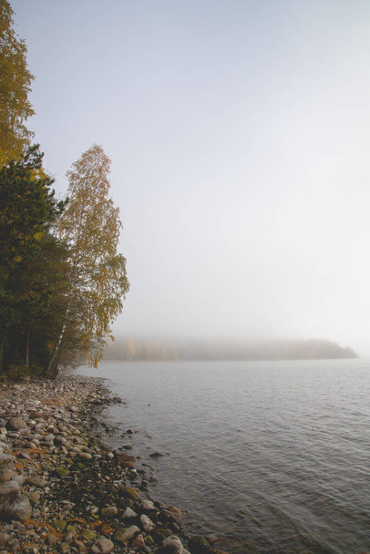 A beautiful view of a lake near the forest during fog - Photo, image