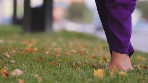 Κοντινό πλάνο γυναικεία πόδια στέκεται στο γρασίδι, γυναίκα κυλήσει έξω πράσινο στρώμα γιόγκα προετοιμασία για άσκηση asana προπόνηση. Αγνώριστο κορίτσι εκπαιδευτής σε μωβ παντελόνι ταιριάζει άθλημα πηγαίνει σε εξωτερικούς χώρους πρακτική στο πάρκο - Πλάνα, βίντεο