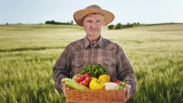 Een oude lachende boer staat midden in een veld. Hij heeft een mand met groenten. Hij steekt zijn hoofd op en kijkt naar de camera. Hij heeft een hoed op zijn hoofd. 4K - Video