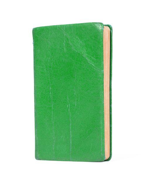 Petit livre vert, isolé sur fond blanc - Photo, image