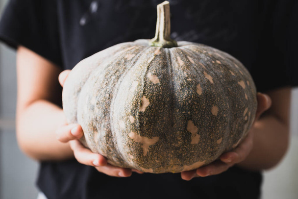 Organic Thai pumpkin holding by woman hand prepare for cooking - 写真・画像