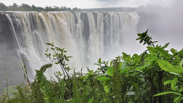 Z okraje náhorní plošiny stékají mocné proudy Viktoriiných vodopádů. Nad propastí je hustá mlha. V popředí je bujná zelená vegetace. Zimbabwe - Fotografie, Obrázek