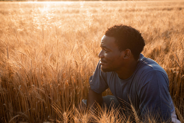 Handsome positive young man in grain field - Фото, зображення