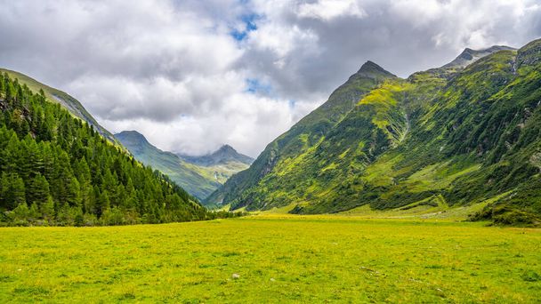 Green meadow in alpine valley, - Zdjęcie, obraz
