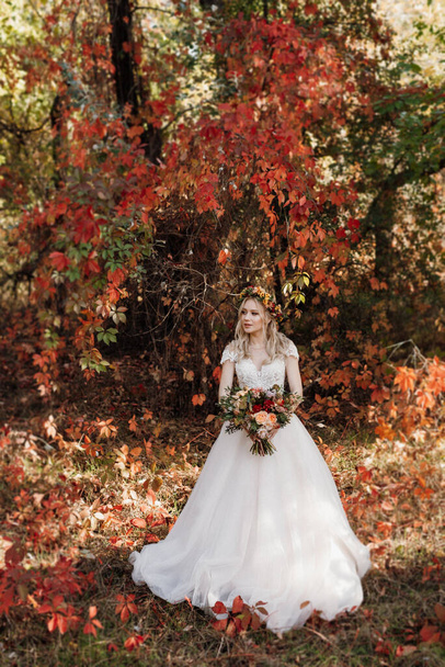 blonde girl in a wedding dress in the autumn forest against the background of wild red grapes - Фото, зображення