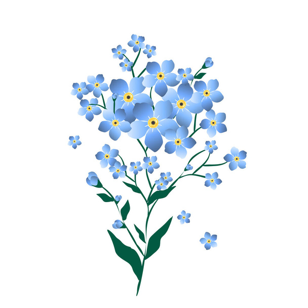 Ilustração floral azul com esquecer-me-não sobre fundo branco. Clipart botânico florescente isolado. - Vetor, Imagem