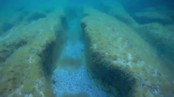 Underwater landscape in the sea. Caspian Sea. Month of June 2021 year. - Footage, Video