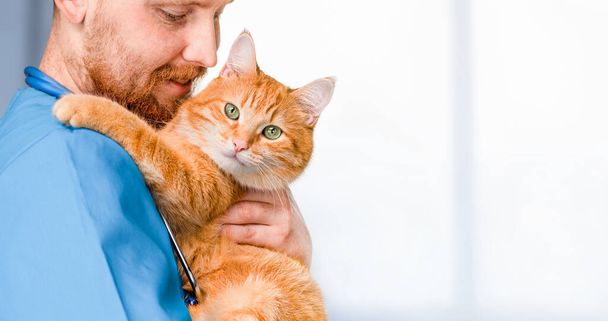 彼の腕の中に猫を抱えているオスの獣医師 - 写真・画像