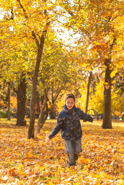 Strzał młodego chłopca radośnie biegnie wzdłuż jesiennego listowia w jesienny dzień w parku - Zdjęcie, obraz
