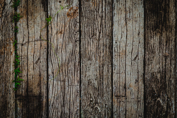 Old vintage wooden flat texture background - Фото, изображение