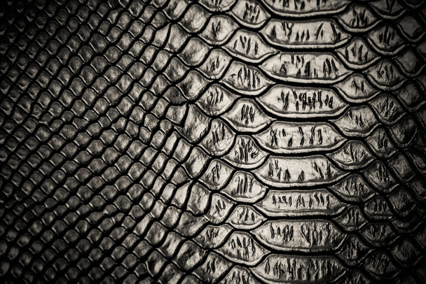 peau de serpent noir motif texture fond - Photo, image