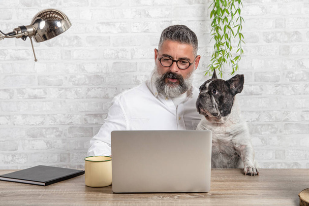 Фрилансер, работающий из дома со своей собакой, сидящей вместе в офисе - Фото, изображение