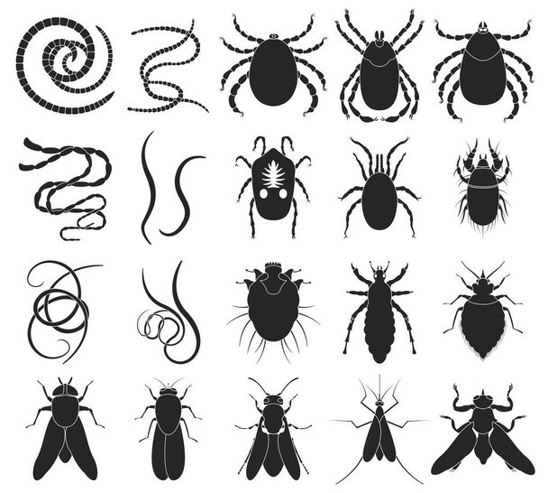 Parasite vecteur noir ensemble icône. Illustration vectorielle insecte sur fond blanc. Ensemble isolé noir icône parasite. - Vecteur, image