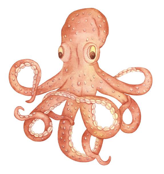 Υδατογραφία Υποβρύχια πλάσματα Brown Octopus, Χέρι ζωγραφισμένα εικόνα απομονώνονται σε λευκό φόντο. - Φωτογραφία, εικόνα