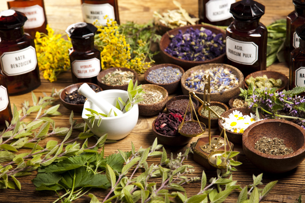 Dried medical herbs - Fotoğraf, Görsel