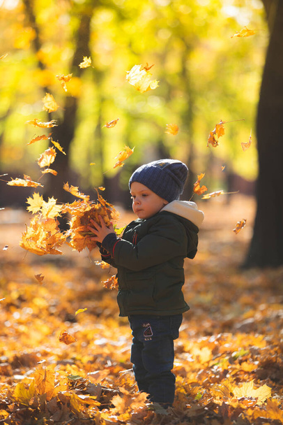 Ragazzo che gioca in foglie d'autunno - Foto, immagini