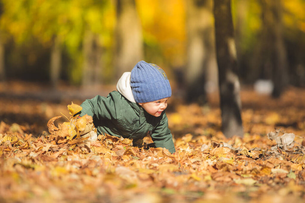 boy playing in autumn leaves - Fotó, kép