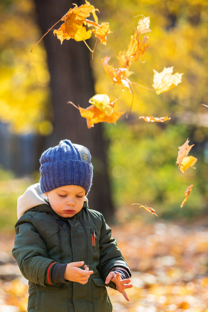 boy playing in autumn leaves - Foto, Imagen