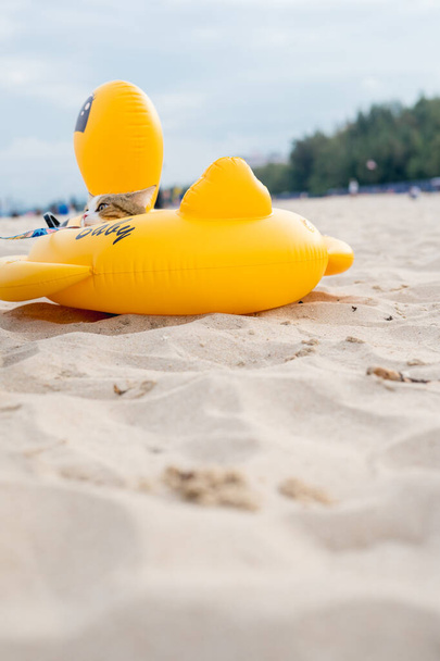 Путешествие в Таиланд с кошкой сидеть на утином резиновом кольце на песчаном пляже - Фото, изображение