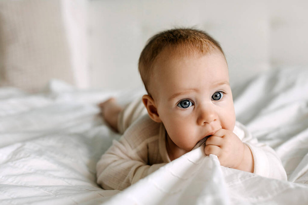 Πέντε μηνών μωρό ξαπλωμένο στο κρεβάτι με την κοιλιά, μασώντας λευκό σεντόνι. - Φωτογραφία, εικόνα