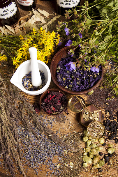 Alternative medicine, dried herbs - Photo, Image