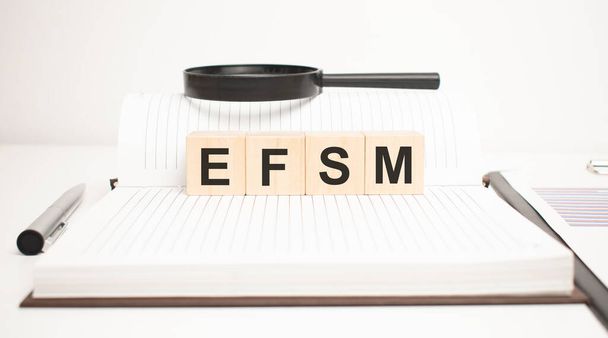 efsm word concept. wooden cubes, notepad, pen and business charts. - Fotografie, Obrázek