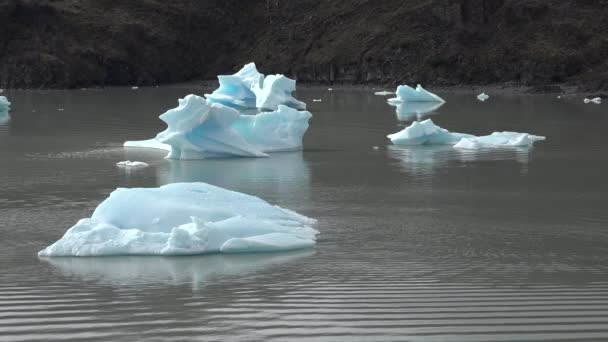 青い氷の氷山。海で氷を溶かす。惑星地球の生態. - 映像、動画