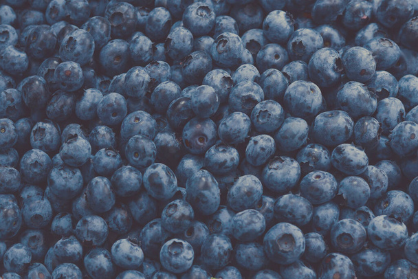 Fresh blueberry background. Texture blueberry berries close up. - Foto, afbeelding
