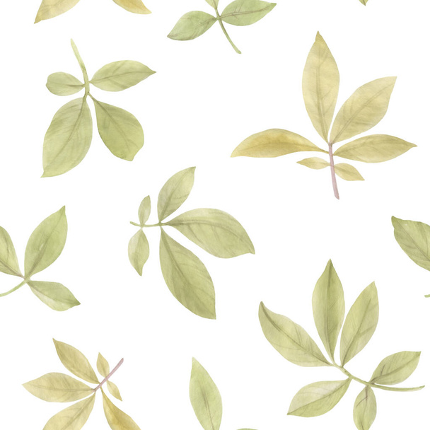 Set of watercolor green leaves. Leaves on a branch for design, cards, wallpaper, print - Фото, изображение