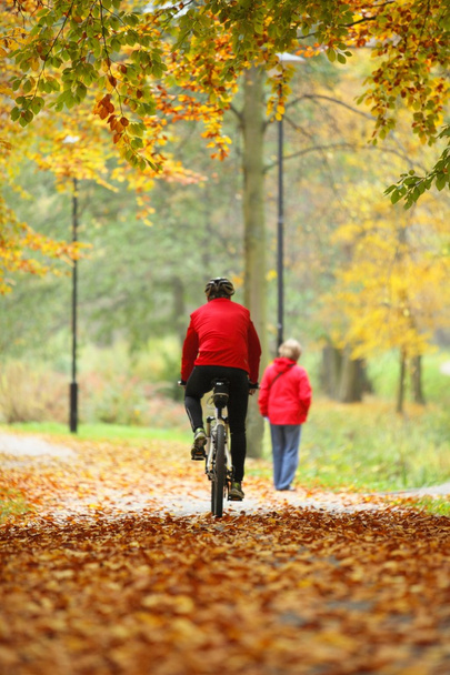cycling outdoors man on bike, golden autumn in park - Fotoğraf, Görsel