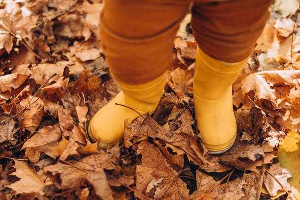 Yellow childrens rubber boots on yellow foliage. Fall and Autumn concept, close-up. Walk in the autumn forest on a sunny day - Photo, image