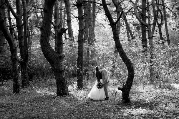 wandeling van de bruid en bruidegom door het herfstbos in oktober - Foto, afbeelding