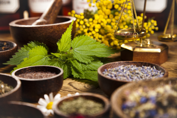 Fresh medicinal herbs - Photo, Image