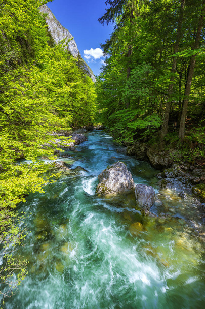 Hideg hegyi patak jön Savica vízesés, folyó Száva közelében tó Bohinj, Szlovén Alpok, Szlovénia. A Sava Bohinjka a Száva folyó vízfolyása Szlovénia északnyugati részén.. - Fotó, kép