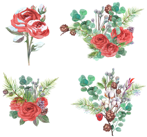 набор акварельных зимних композиций с красными розами и сушеными цветами - Фото, изображение