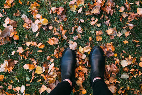 秋、秋の葉、足や靴の上からの眺め。秋の葉や草の上のブーツの足の概念的なイメージ - 写真・画像