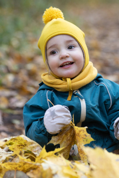 Little girl having fun autumn forest. Kid sitting yellow leaves - Photo, Image