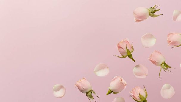 flat lay pink spring roses with . High quality photo - Photo, Image