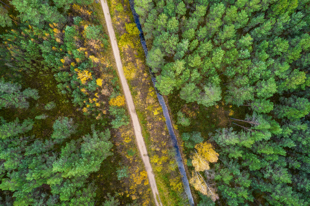 Drone view of road and forest in golden time - Fotó, kép
