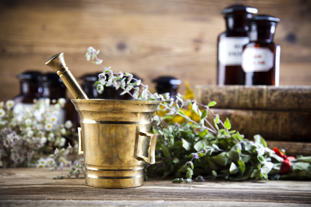 Medical herbs and mortar - Photo, Image